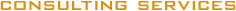 Consulting Services